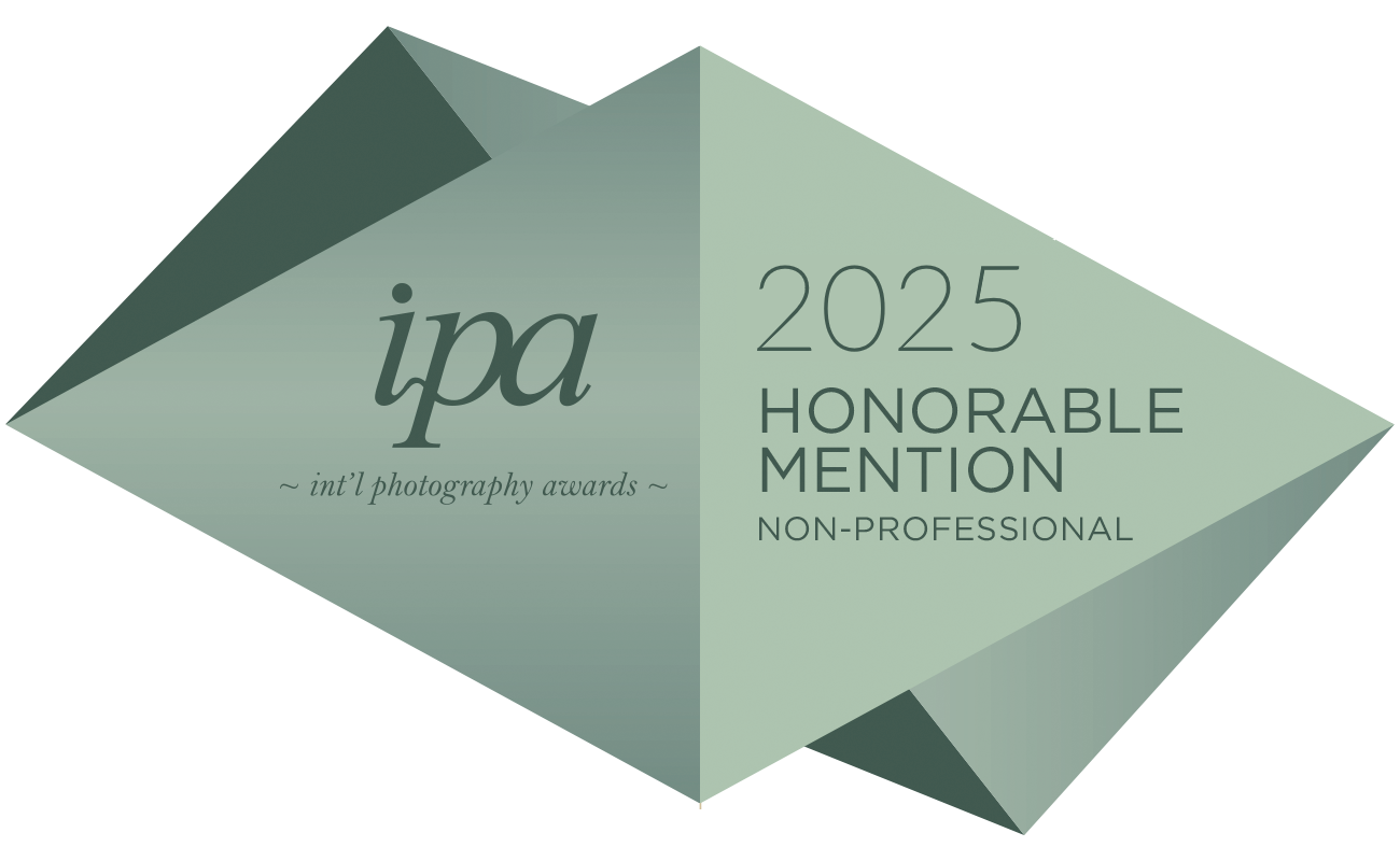 IPA 2025 · Honorable Mention